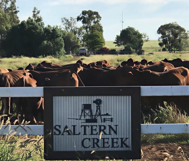 1970 Saltern Creek Road Barcaldine QLD 4725