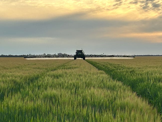 Jandowae QLD 4410