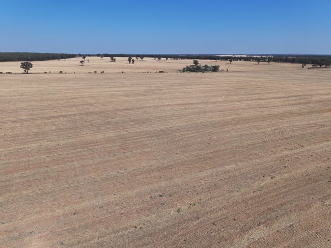 'Wattlevale' 875 Schmidts Lane Gidginbung NSW 2666