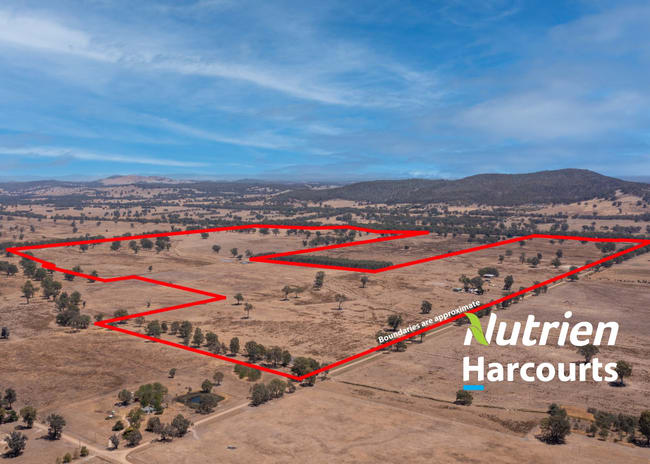 337 Laceby-Glenrowan Road Laceby VIC 3678