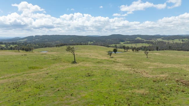 "Glen Bluff" 222 Riverview Road Wards Mistake NSW 2350 "Glen Bluff" 222 Riverview Road Wards Mistake NSW 2350