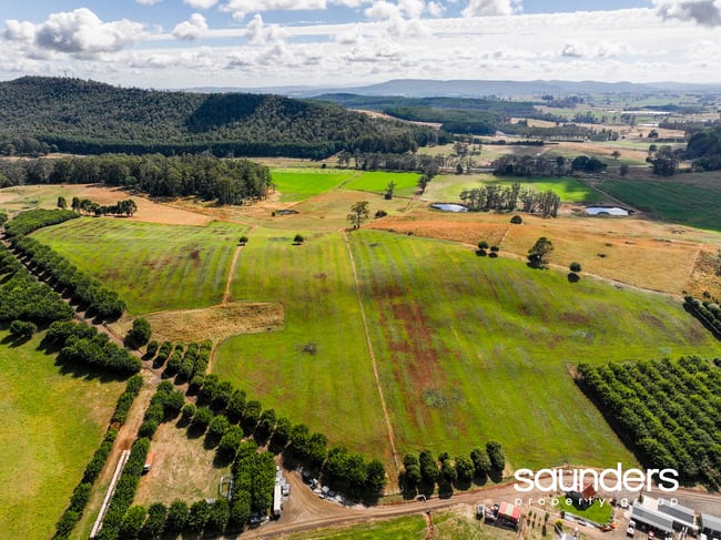 110 Trickett Road Needles TAS 7304 110 Trickett Road Needles TAS 7304