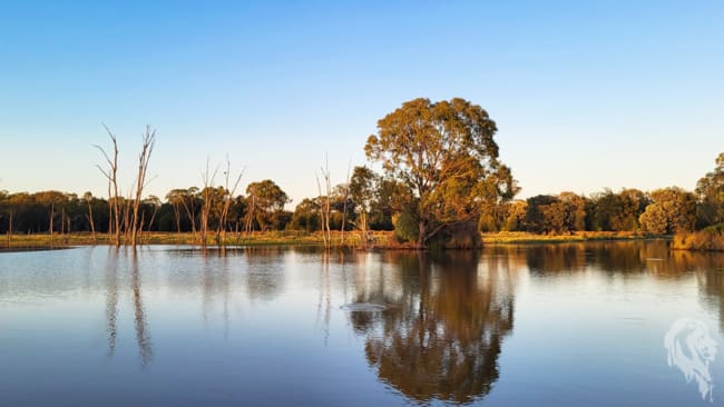 296 Forest Way Wee Waa NSW 2388 296 Forest Way Wee Waa NSW 2388