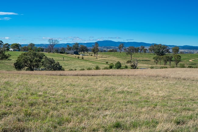 614 Peabody Road Molong NSW 2866 614 Peabody Road Molong NSW 2866