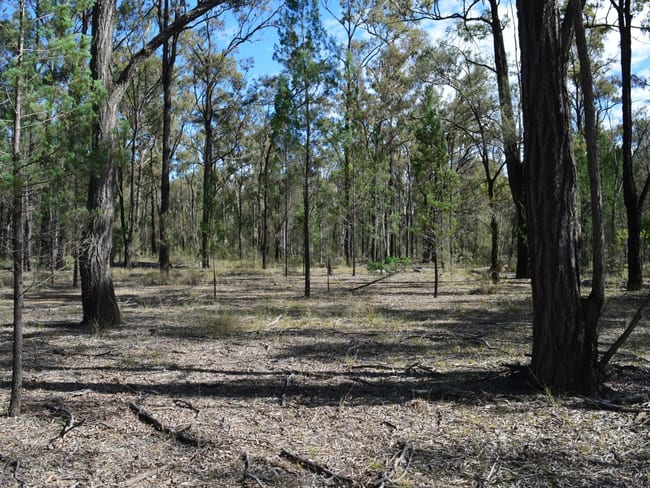 Lot 17 The Hut Road Inglewood QLD 4387 Lot 17 The Hut Road Inglewood QLD 4387