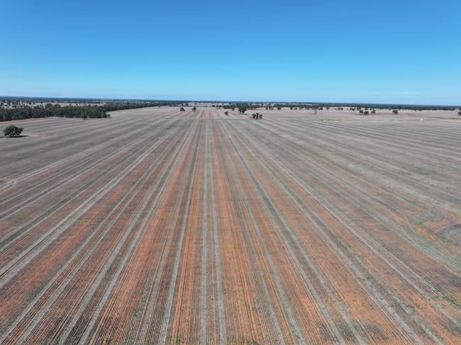 Shannonvale & Elmore Strontian Road Boree Creek NSW 2652 Shannonvale & Elmore Strontian Road Boree Creek NSW 2652