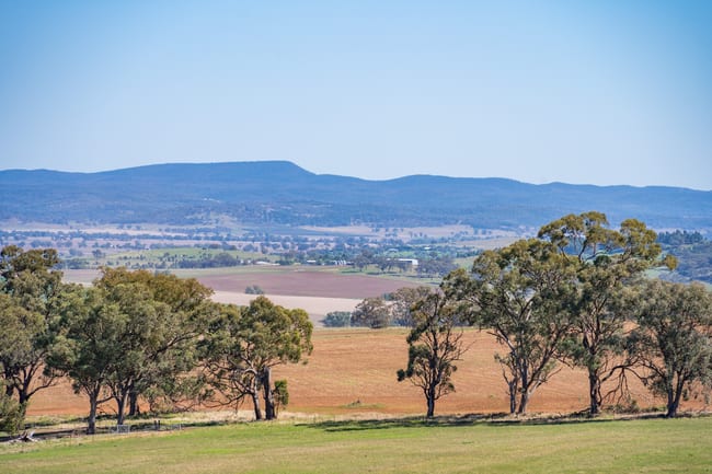 306 Moola Road Canowindra NSW 2804
