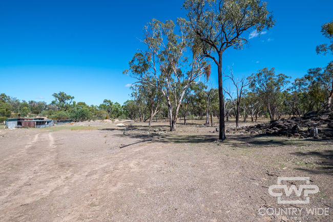 1043 Wallangra Road Wallangra NSW 2360