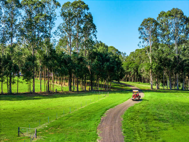 730 Lismore Road Nashua NSW 2479 730 Lismore Road Nashua NSW 2479