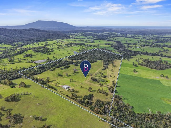 10419 Princes Highway Cobargo NSW 2550 10419 Princes Highway Cobargo NSW 2550