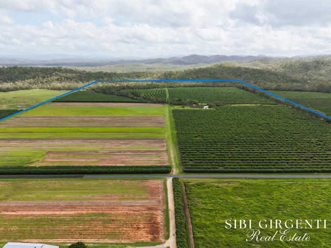 262/ Gilmore Road Mareeba QLD 4880 262/ Gilmore Road Mareeba QLD 4880