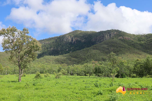 Reid River QLD 4816