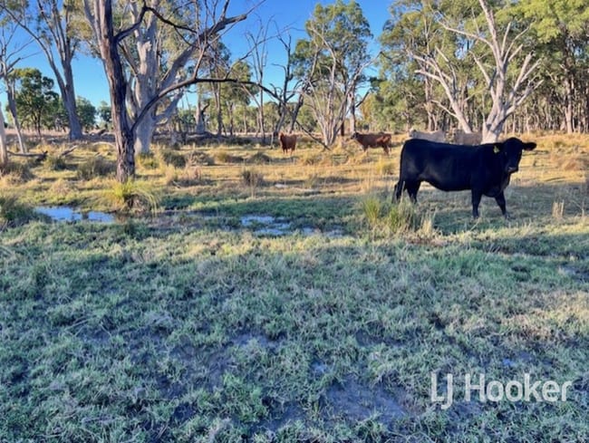 296 Limestone Road Inverell NSW 2360