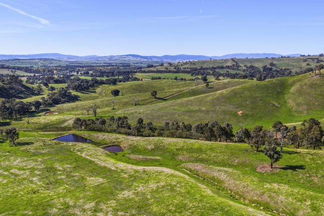 Woods Road Piries VIC 3723