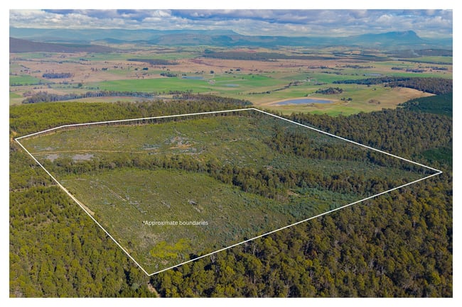 Lot 1 Bradys Creek Road Parkham TAS 7304 Lot 1 Bradys Creek Road Parkham TAS 7304
