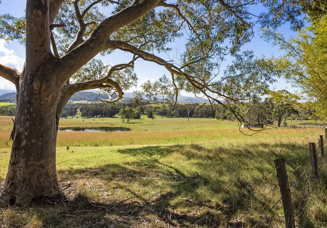 201 Coolangatta Road Far Meadow NSW 2535 201 Coolangatta Road Far Meadow NSW 2535