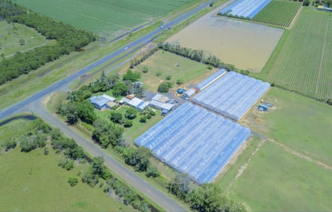 4248 Goodwood Road Alloway QLD 4670 4248 Goodwood Road Alloway QLD 4670