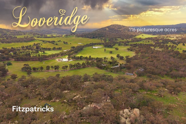 6361 Holbrook Road Gelston Park NSW 2650 6361 Holbrook Road Gelston Park NSW 2650