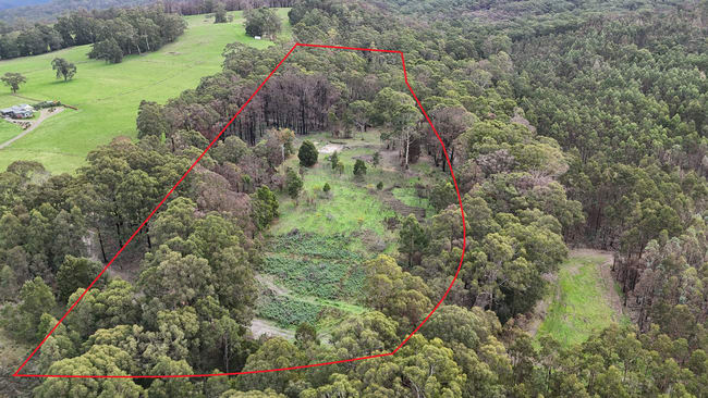 95 Wonga Road Kawarren VIC 3249