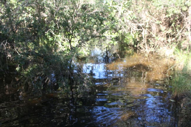 34/469 Mineral Road Rosedale QLD 4674 34/469 Mineral Road Rosedale QLD 4674