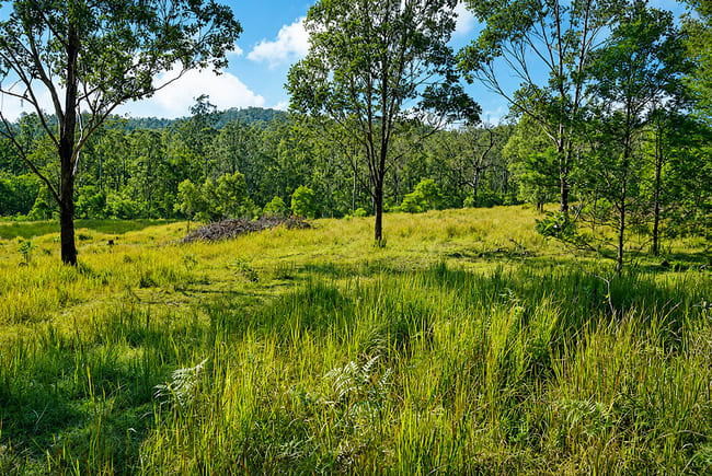 Lot 105 97 Long Gully Road Drake NSW 2469 Lot 105 97 Long Gully Road Drake NSW 2469
