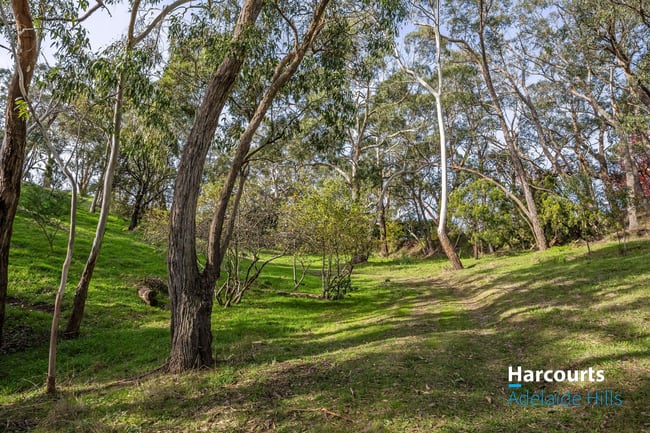 Lot 21 Montacute Road Montacute SA 5134 Lot 21 Montacute Road Montacute SA 5134