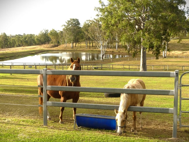 'Little J Farm' 87 Charlwood Road Aratula QLD 4309 'Little J Farm' 87 Charlwood Road Aratula QLD 4309