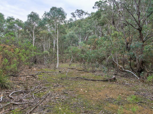 1648 Cassilis Road Cassilis VIC 3898