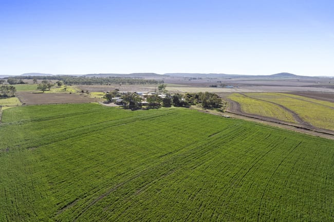 1192 Clifton Pittsworth Road Felton South QLD 4358 1192 Clifton Pittsworth Road Felton South QLD 4358