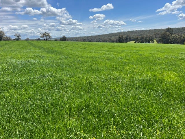Lot 7820 Mordallup Road (Perup) Manjimup WA 6258 Lot 7820 Mordallup Road (Perup) Manjimup WA 6258