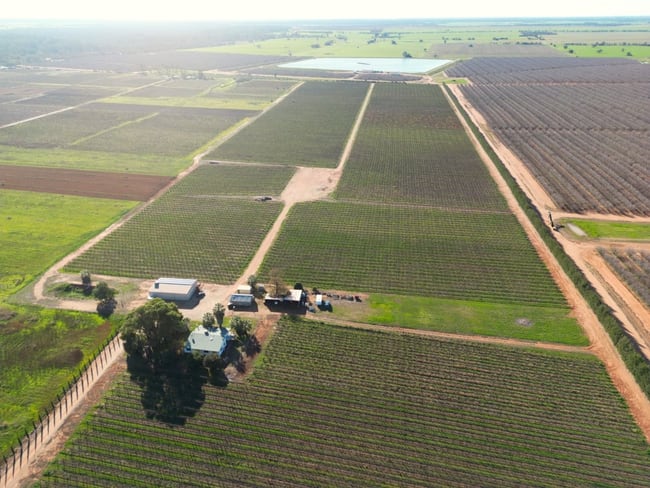 894 Goodnight Road Goodnight NSW 2736