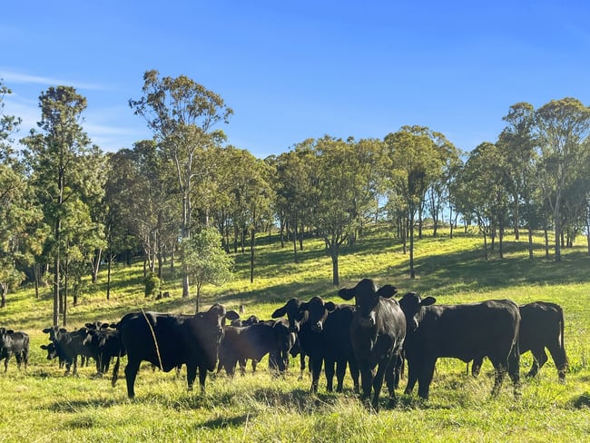 1322 Nukku Mt-Binga Road Mount Binga QLD 4314 1322 Nukku Mt-Binga Road Mount Binga QLD 4314