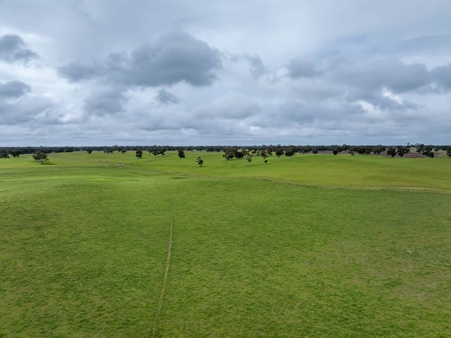3373 Naracoorte Road Western Flat SA 5268 3373 Naracoorte Road Western Flat SA 5268