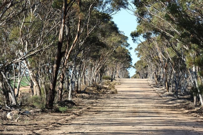 1215 Ainsworth Road Salmon Gums WA 6445