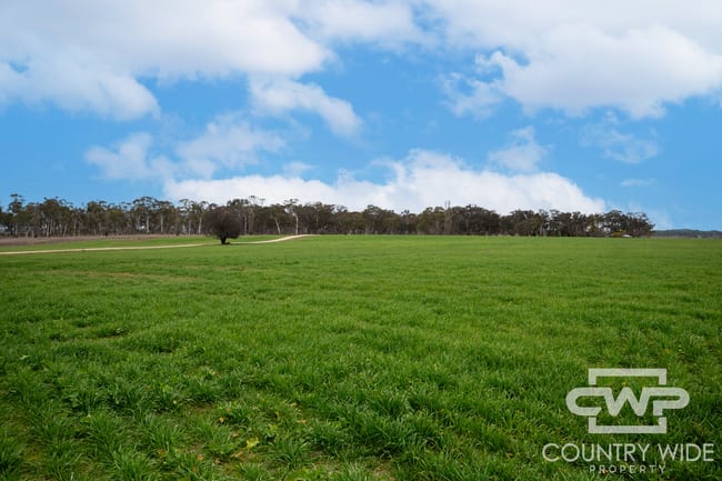 Plain View Aggregati Emmaville Road Glen Innes NSW 2370 Plain View Aggregati Emmaville Road Glen Innes NSW 2370