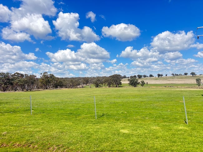 670 Coybil Road Weetaliba NSW 2395