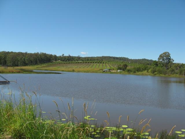 "Sunshine Hills" Gympie QLD 4570 "Sunshine Hills" Gympie QLD 4570