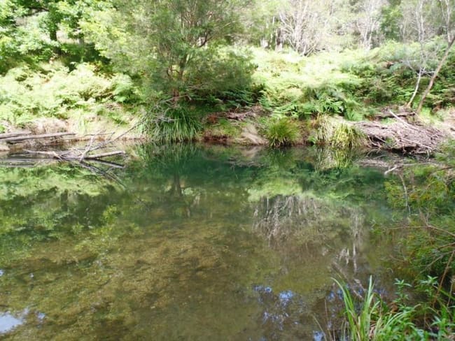 Doyles River NSW 2446