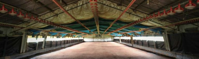 Rural / Farming commercial property for lease at 676 Grieve Road Rochedale QLD 4123