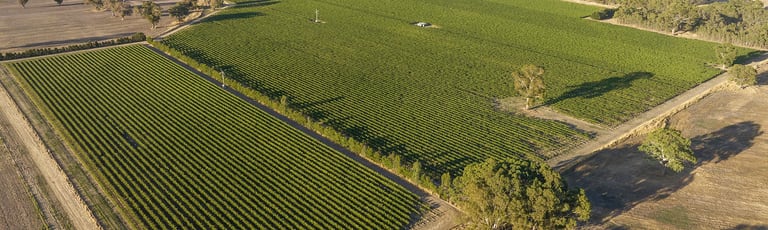Rural / Farming commercial property for sale at 218 Jessie Road Hynam SA 5262