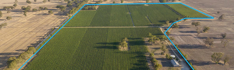 Rural / Farming commercial property for sale at 218 Jessie Road Hynam SA 5262