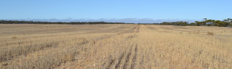 Rural / Farming commercial property for sale at Lot 10 Simpson Road Kyancutta SA 5651