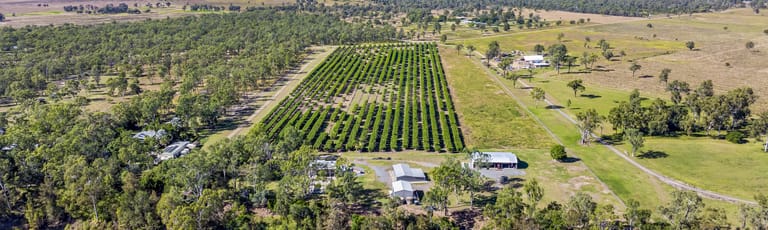 Rural / Farming commercial property for sale at Whole of Property/11 Lindleys Road Etna Creek QLD 4702