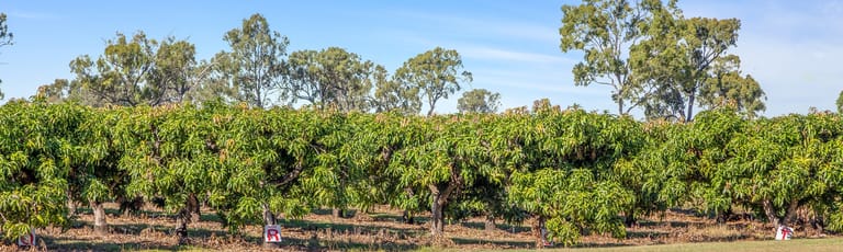 Rural / Farming commercial property for sale at Whole of Property/11 Lindleys Road Etna Creek QLD 4702