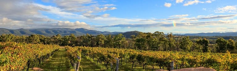 Rural / Farming commercial property for sale at 354 Sundown Road Ballandean QLD 4382