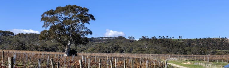 Rural / Farming commercial property for sale at 142 McLaren Flat Road Mclaren Flat SA 5171