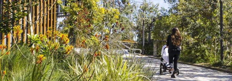 Medical / Consulting commercial property for lease at 71 Longueville Road Lane Cove NSW 2066