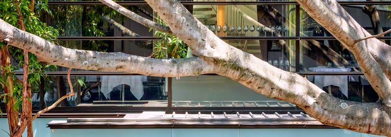 Shop & Retail commercial property for lease at Level 2/24 Bay Street Double Bay NSW 2028