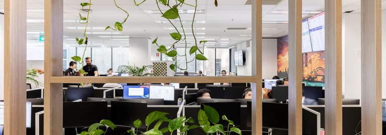 Offices commercial property for lease at 115 Pitt Street Sydney NSW 2000