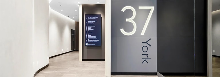 Offices commercial property for lease at Level 15/37 York Street Sydney NSW 2000
